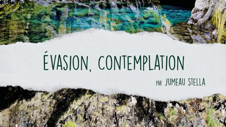 Exposition « Evasion, contemplation »